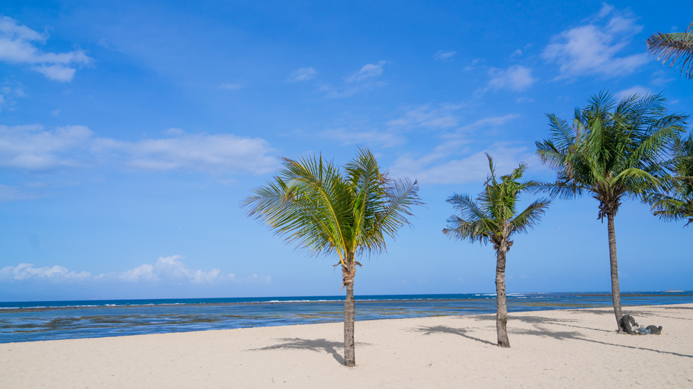 巴厘岛吃喝攻略,巴厘岛闺蜜