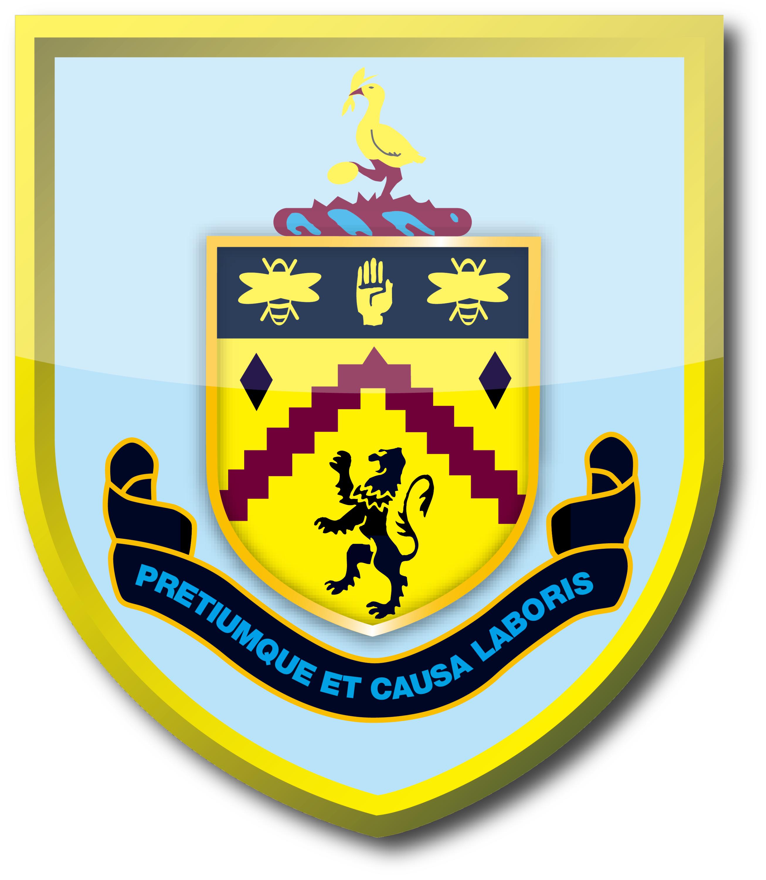 英超球队队徽与简介,新赛季队徽