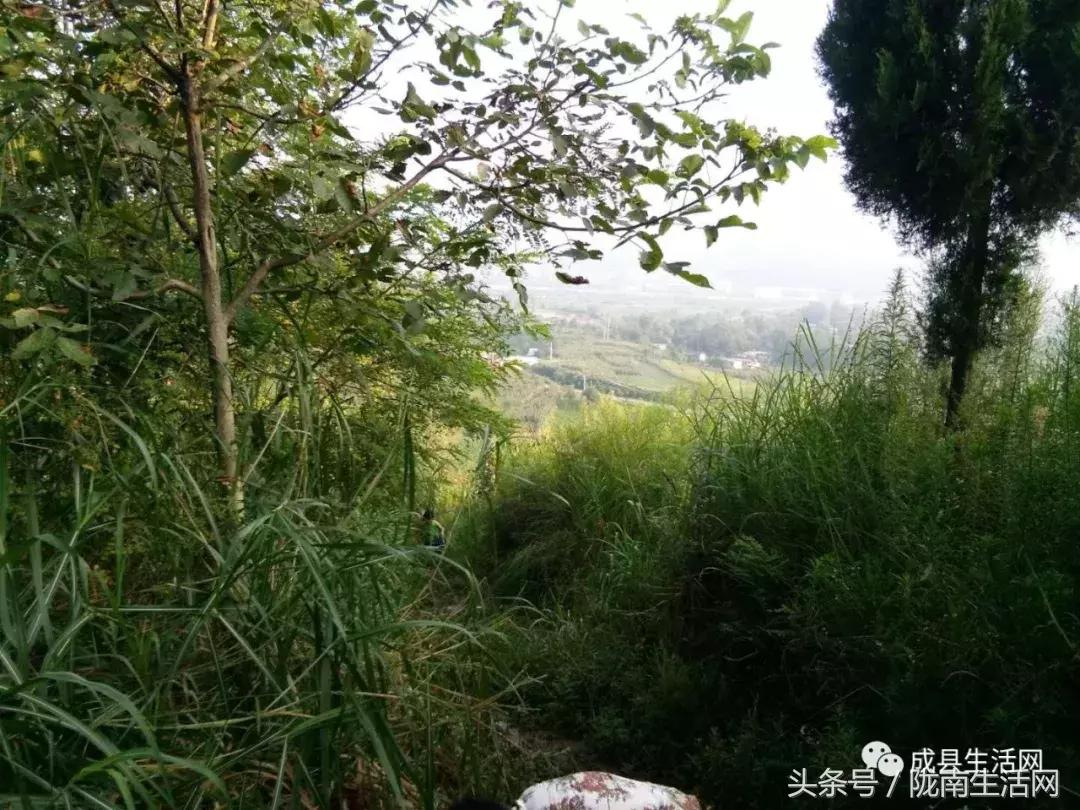 陇南市成县小川镇庙会,今年甘肃陇南成县泰山庙庙会