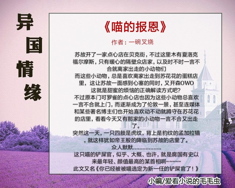 比较好看的异国恋小说,浪漫甜美的异国恋小说推荐