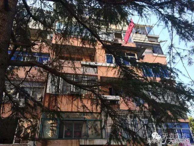 莘庄2019,闵行莘庄最好地段