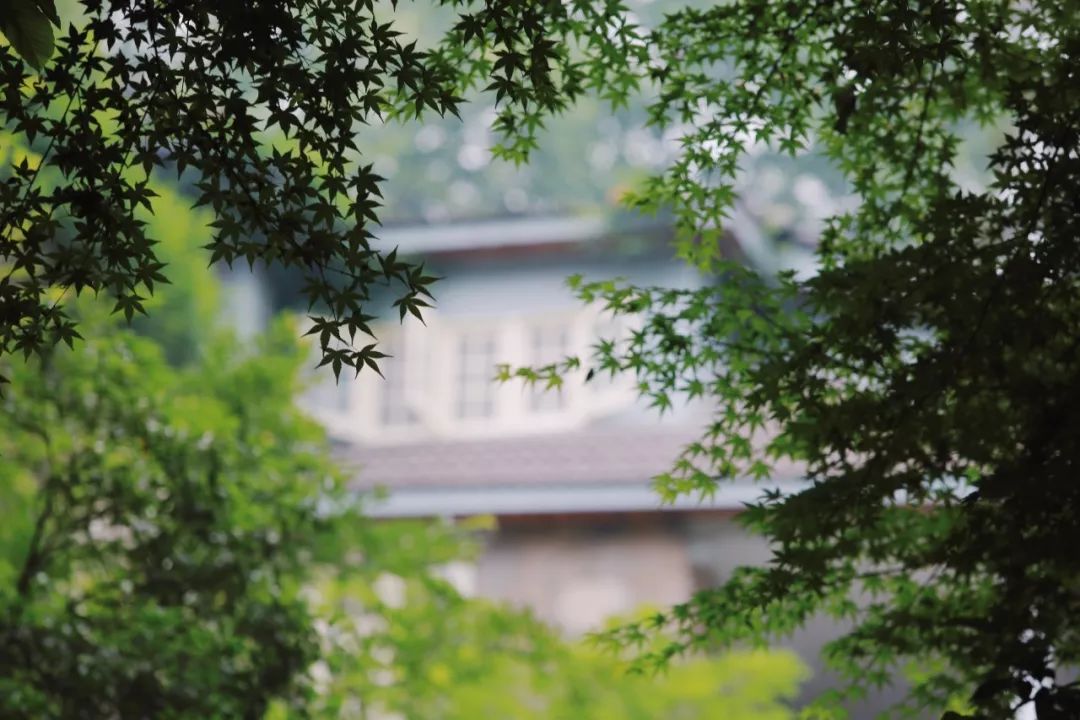 都知道莫干山民宿火，但你知道莫干山的第一家民宿是哪个吗？