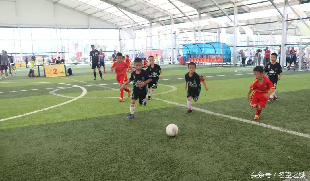 全国幼儿足球交流会,全国幼儿足球交流大会