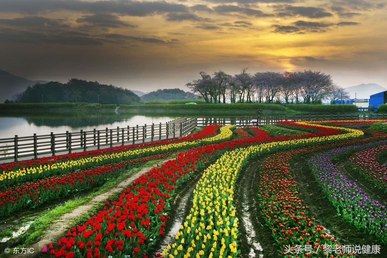 眼睛红痛而且流泪怎么治疗,眼睛疼眼角有红血丝怎么回事
