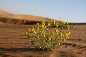 钢球大战液氮官方视频,钢球vs液氮比赛视频