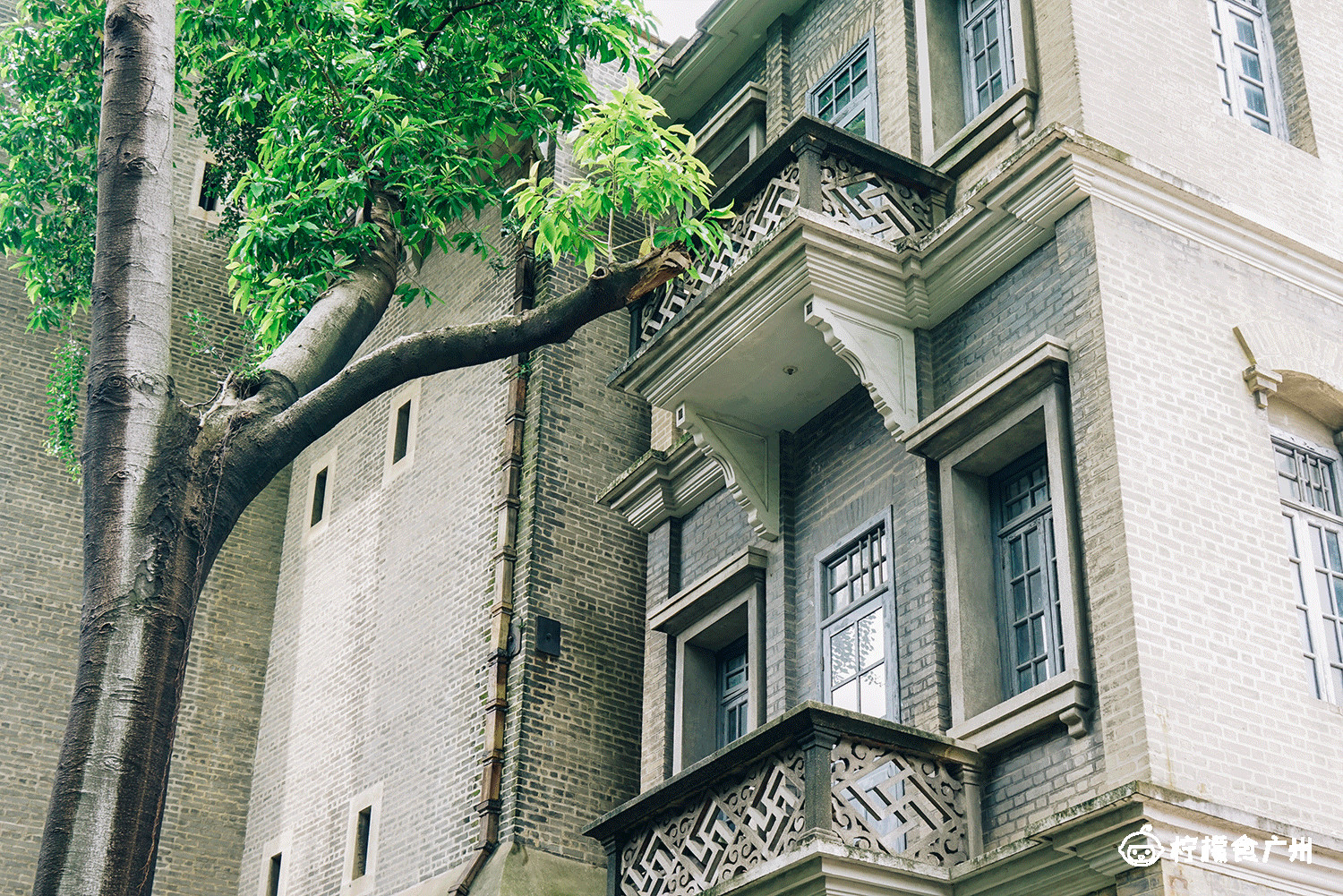 150岁的“mall”来了，我爷爷的爷爷都去过！