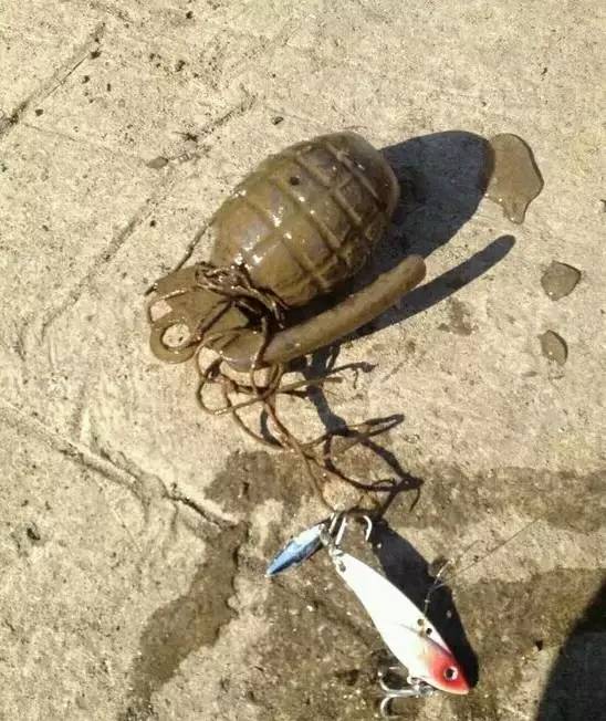 钓到过什么奇葩东西,钓上来最奇葩的东西