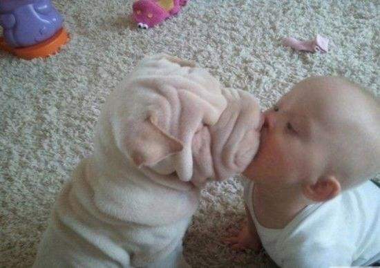 一位教授给孩子批改作业,一个老师给学生发试卷