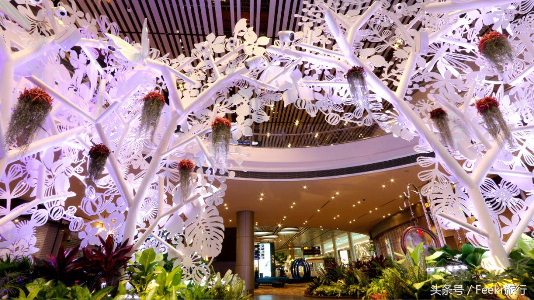 最新海岛打卡之旅,自由行可去的小众海岛