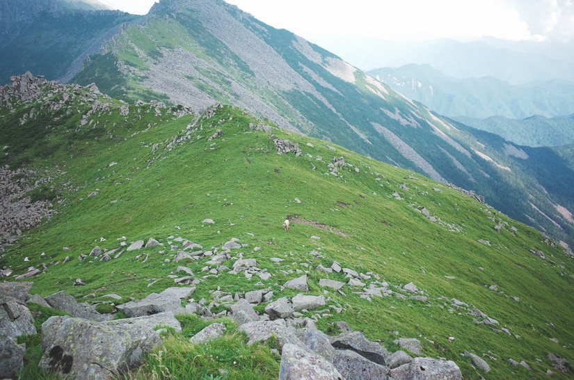 鳌太轻量化装备,夏季鳌太装备