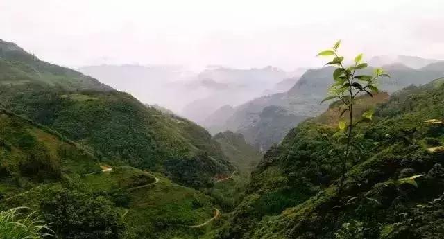 离乐山比较近的风景区,离乐山最近的古镇