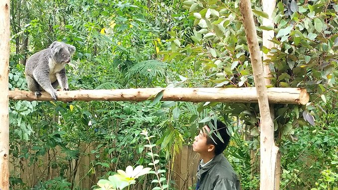 长隆广州野生动物园带娃游玩攻略,一大一小亲子游长隆野生动物园