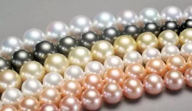 珍珠知识新手入门教学,小火说免费阅读