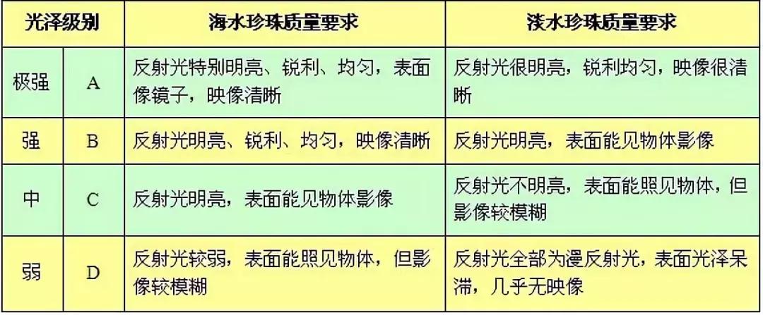 珍珠知识新手入门教学,小火说免费阅读