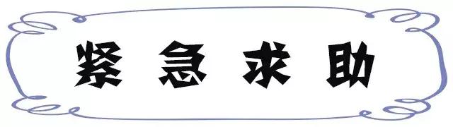 谁整理的表格太好用了,谁整理的太全了