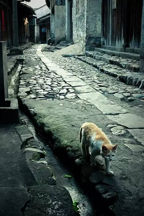 独自旅行一定要去的地方,第一次独自旅行去了哪里