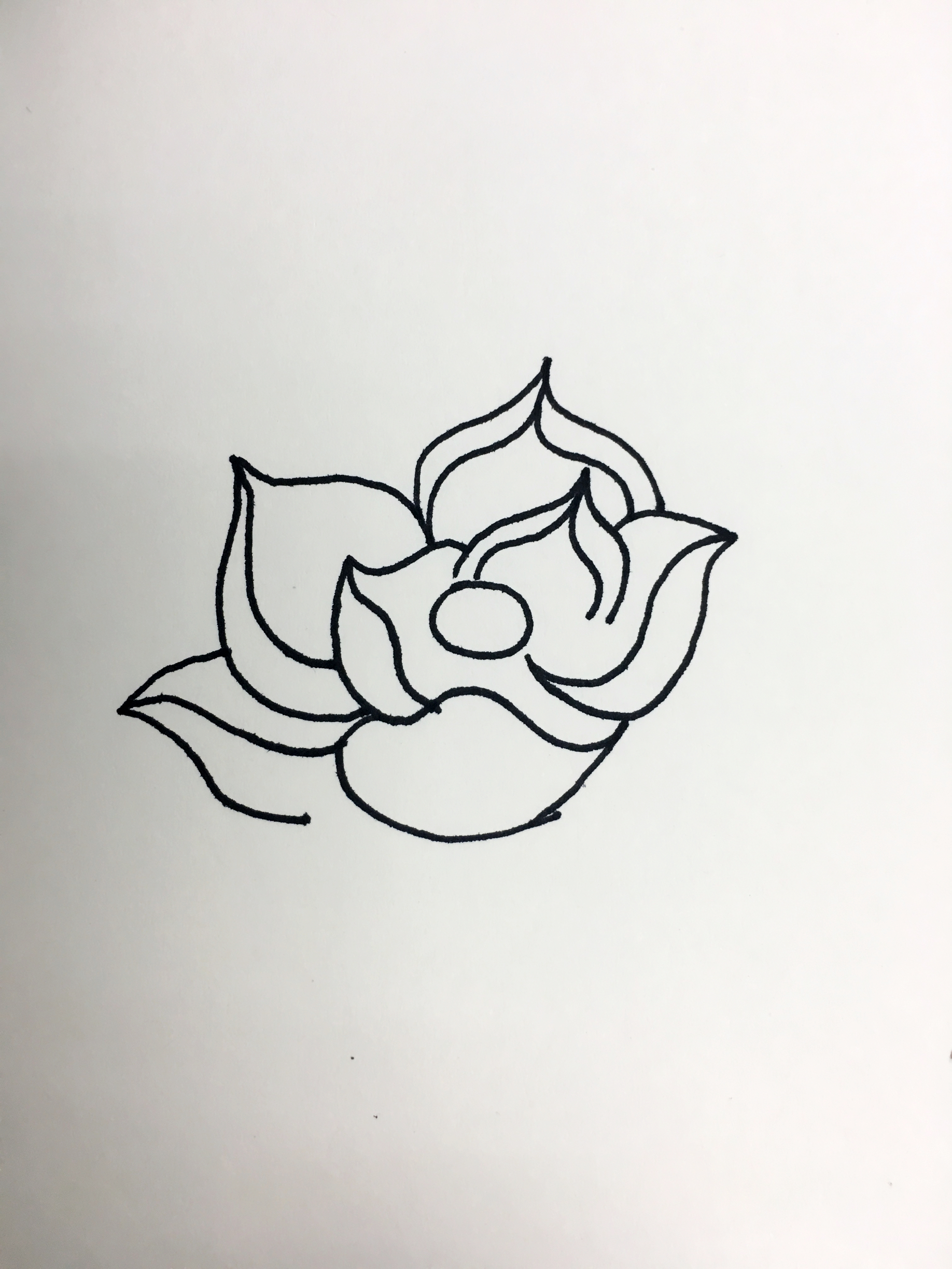 简单画荷花的步骤图解,画荷花好看又简单的教程