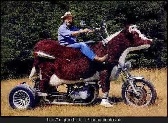 车！车！车！车！车！车！车！车！车！车！车！车！车！车！车！