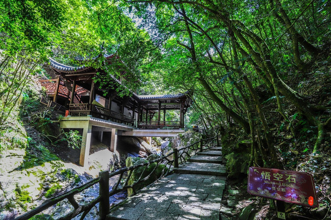 浙江省遂昌县有哪些地方,遂昌避暑好玩的地方有哪些