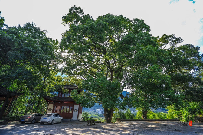 遂昌，一个在浙江只有25度的县城，被江浙沪誉为最值得度假的地方