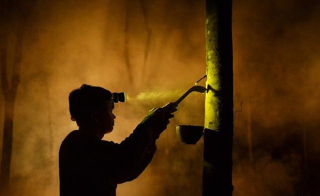 乳胶枕价格多少才可能是真的,300元以下乳胶枕推荐