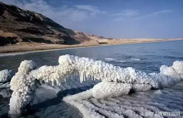 死海，就快要“死”了，再不去，可能真的来不及了！