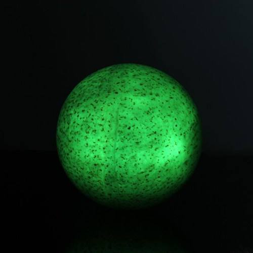 王占奎夜明珠是真的吗,夜明珠存在吗