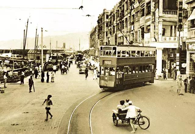 香港—连鸽子都已经习惯了“叮叮车”的节奏