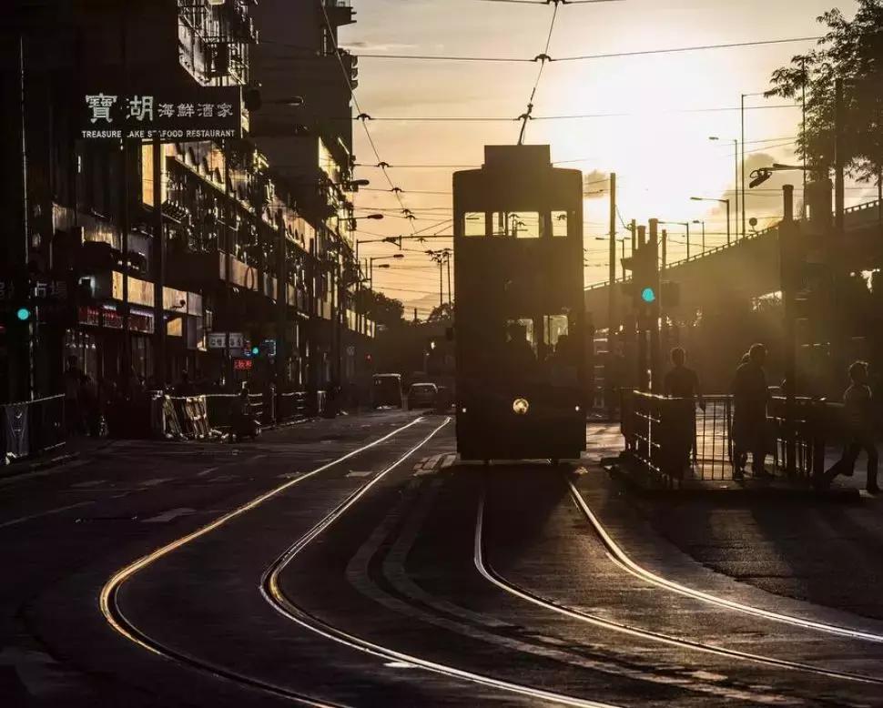 香港—连鸽子都已经习惯了“叮叮车”的节奏