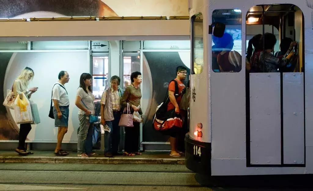 香港—连鸽子都已经习惯了“叮叮车”的节奏