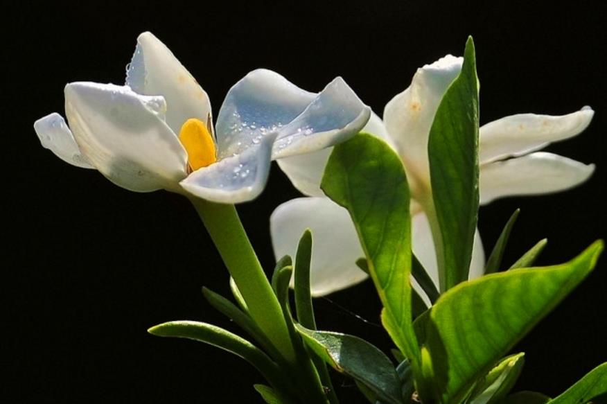 我可以穷但不可以怂,做人可以穷但是不能骗人