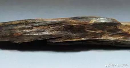 斜叶檀滥竽充数小叶降真香