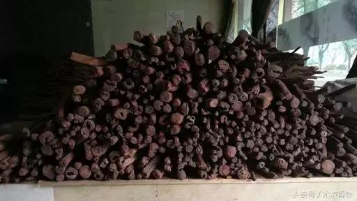 斜叶檀滥竽充数小叶降真香