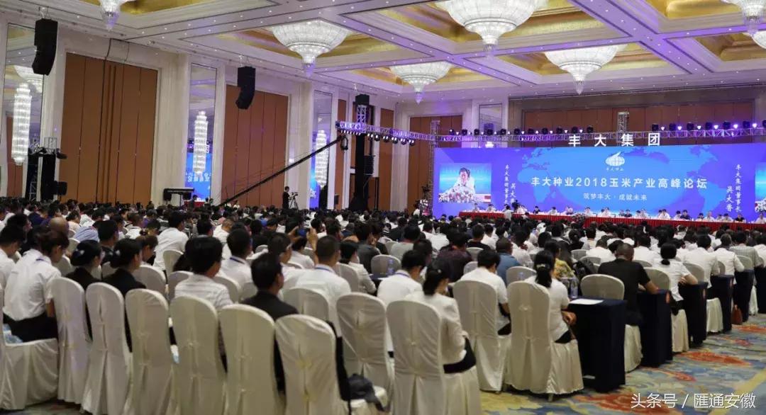 仅两年！让一个垂死品种销量达到120万亩，丰大做到了