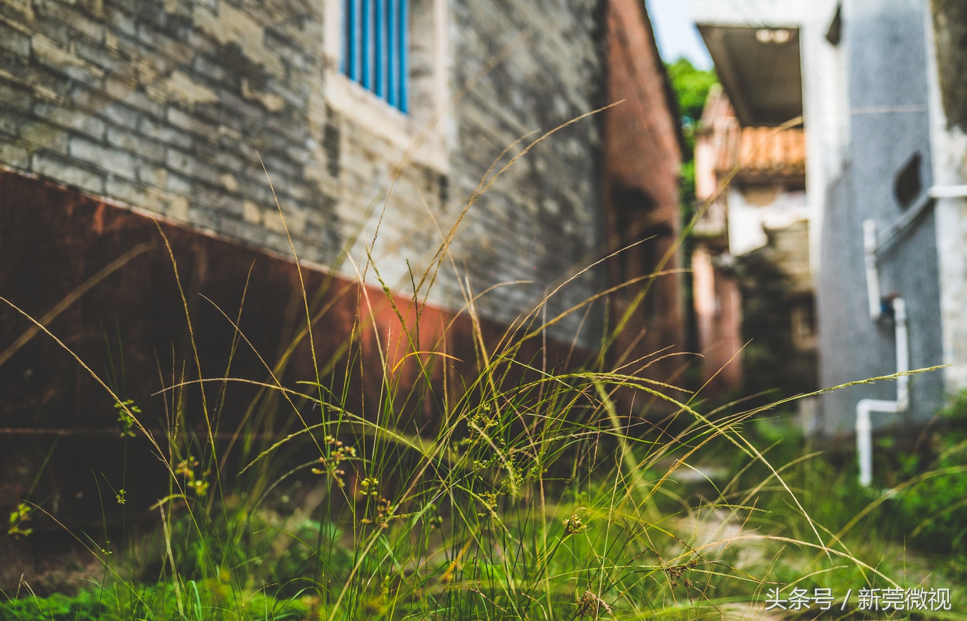 东莞一大古村,东莞具有世界工厂的称号