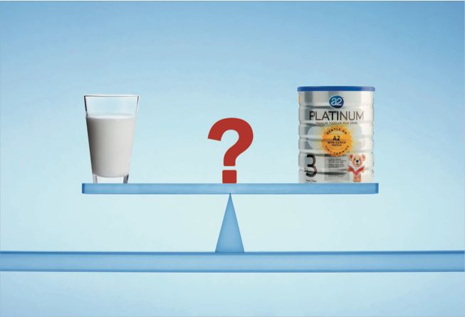 a2鍏徃,a2鐗涘ザ鍏徃