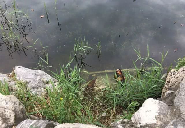 北京哪些公园对18岁以下免费,北京60岁以上老人免费公园明细