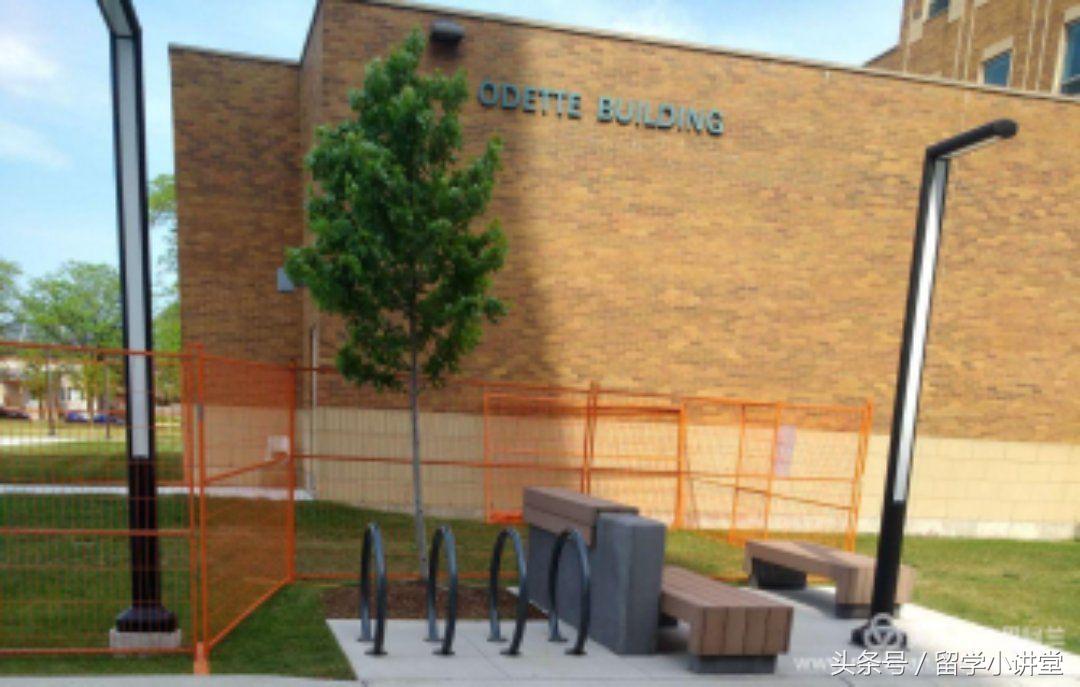 在加拿大长期生活是什么体验,在加拿大生活快乐吗