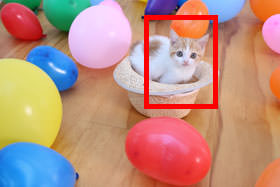 有趣的相机视频教程,佳能相机使用技巧大全