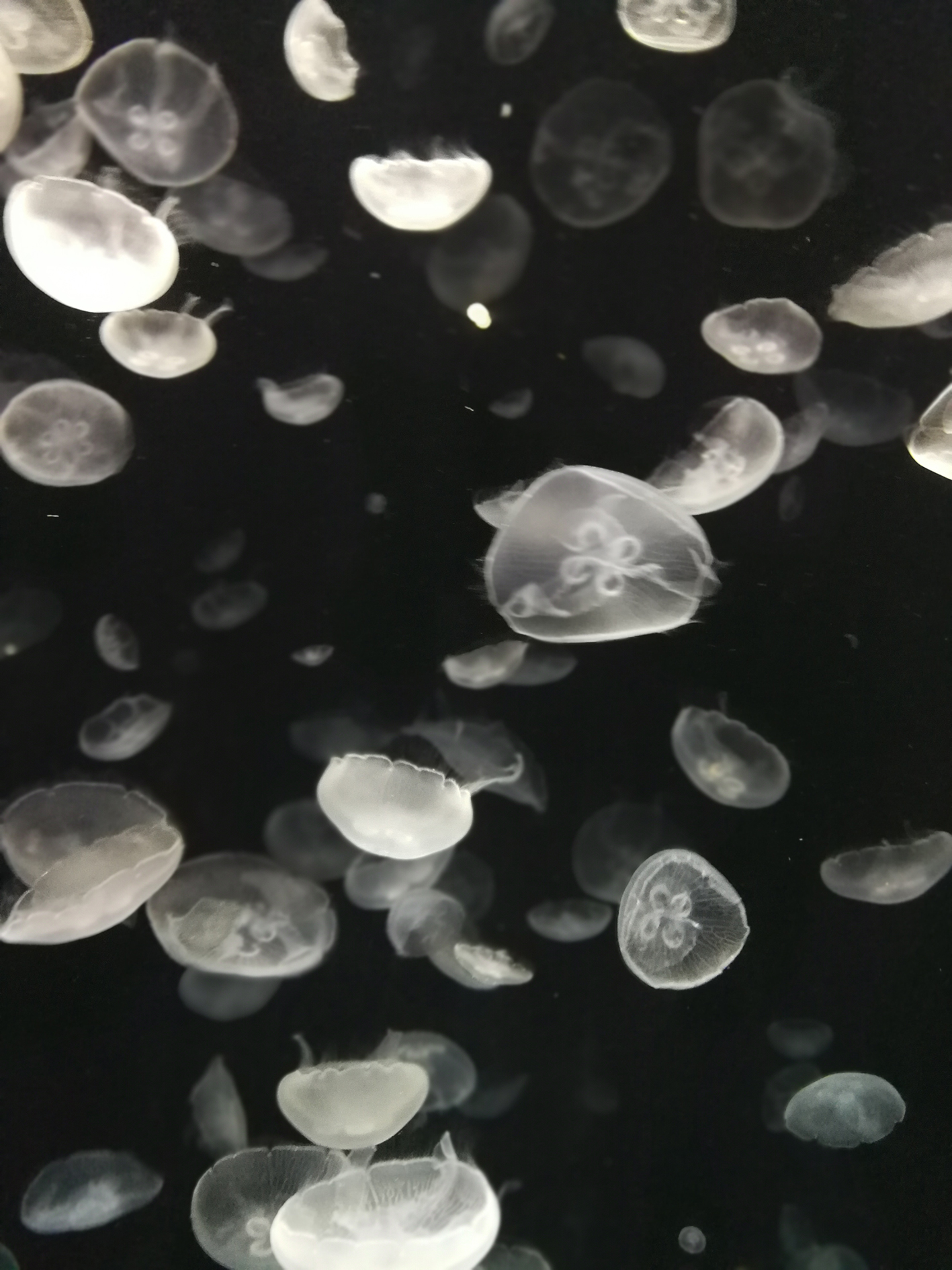 日本乐高亲子游,日本乐高亲子游玩中心在哪