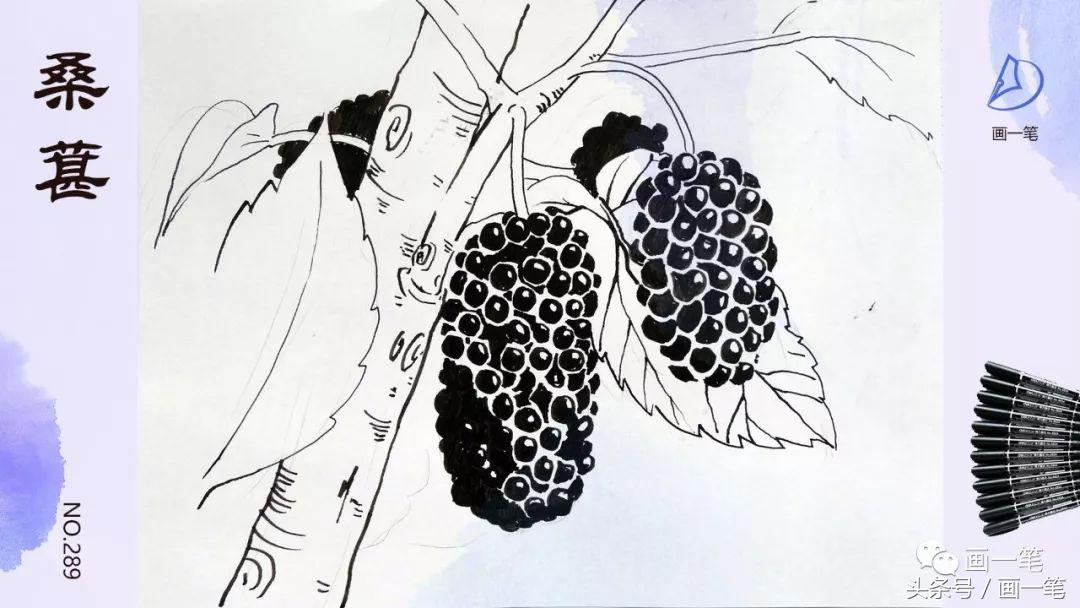 鸬鹚的国画画法,鸬鹚怎么画