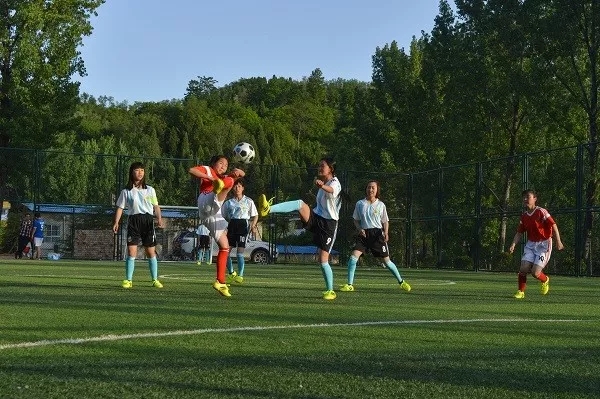 第一书记怎么开展工作,第一书记工作方法