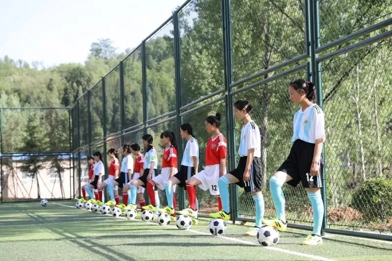 第一书记的主要工作内容,第一书记主要做法及取得的成效