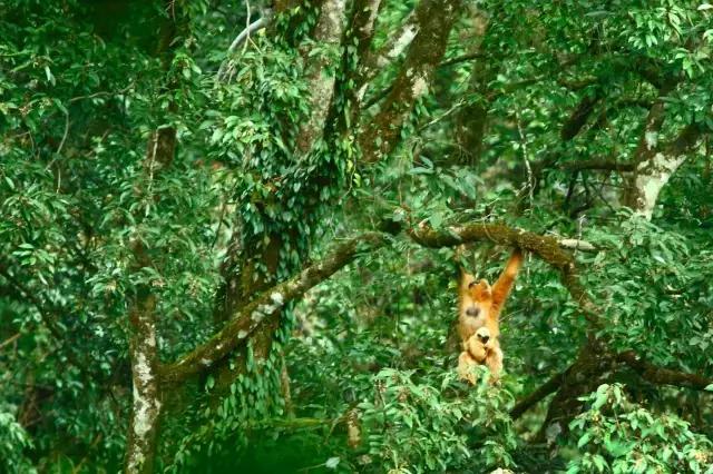 张程皓图片,张程皓照片