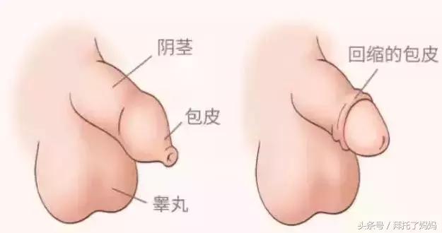 宝宝日常清洁的步骤,宝宝哪些地方不要太干净