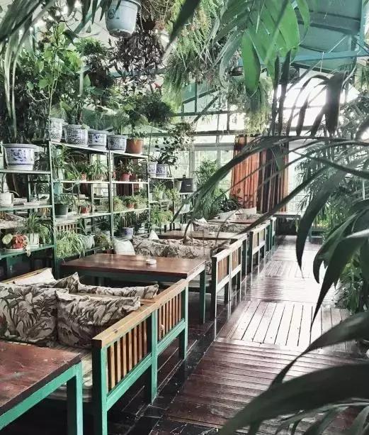 重庆冬天适合去哪个农家乐,重庆农家乐冬天一日游