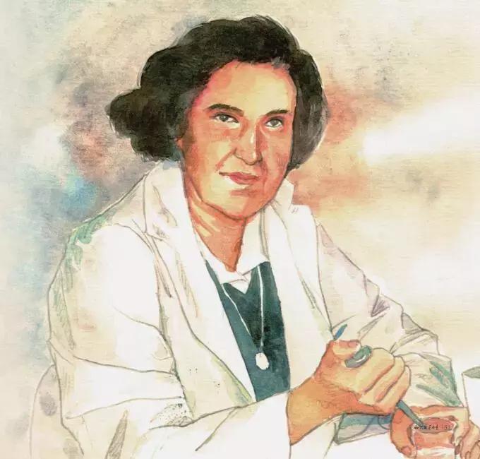 东非动物大迁徙记录完整版,东非野生动物大迁徙纪录片