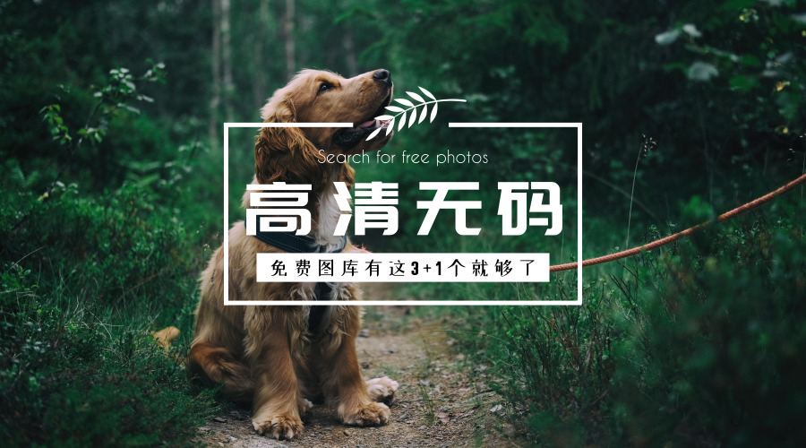 楂樻竻澶у浘鍥惧簱,鍥惧簱澶у叏楂樻竻澶у浘