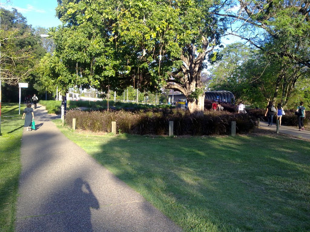 澳洲大学雅思成绩不够怎么办,英国留学雅思成绩不够怎么办