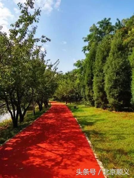 顺义水上公园游玩项目,顺义水上公园